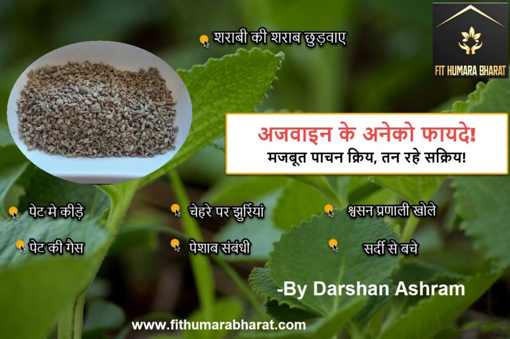 Benefits of Ajwain