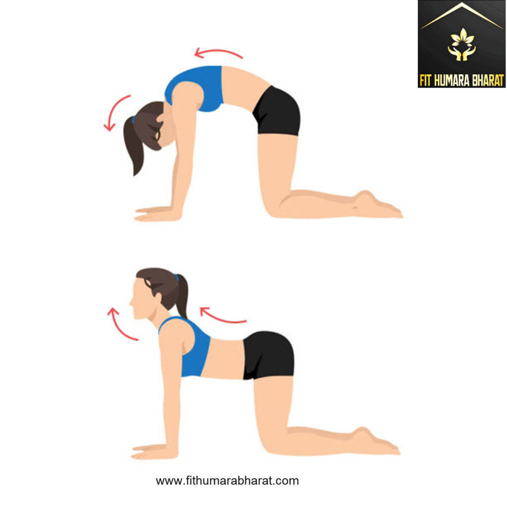 Cat-Cow Pose for Back pain exercise with fithumarabharat