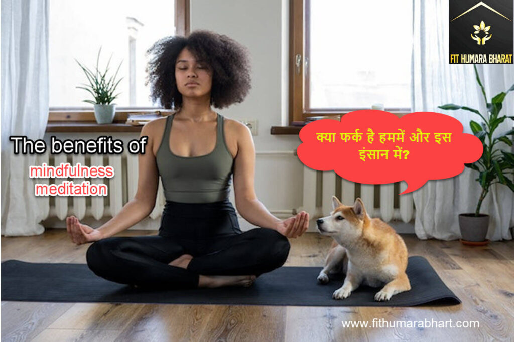 Benefits of Meditation with fithumarabharat