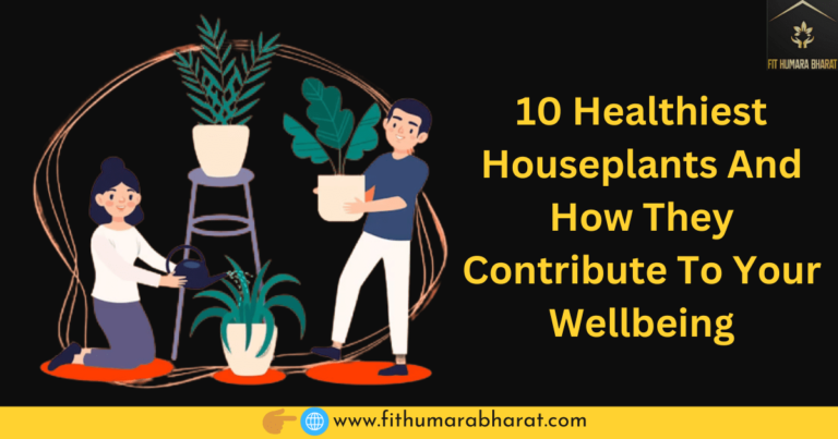 10 Most Healthiest popular Houseplants