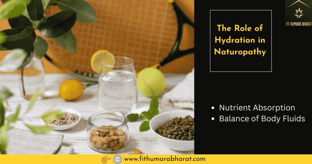 The Role of Hydration in Naturopathy