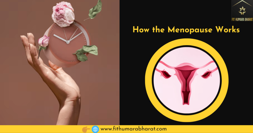 How the Menopause Works