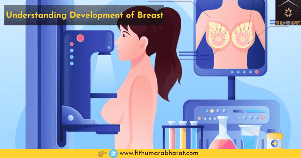 Understanding Development of Breast
