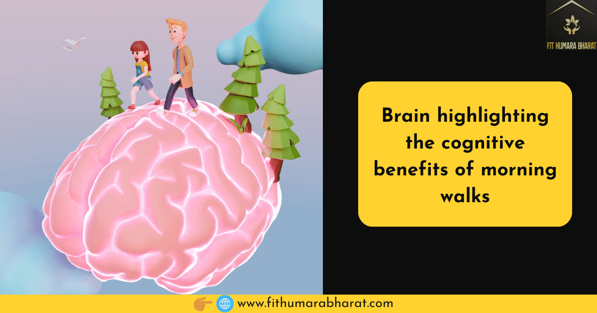 Brain-highlighting-the-cognitive-benefits-of-morning-walks